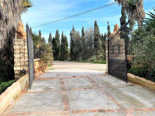 Einfahrtstor - Portal de entrada