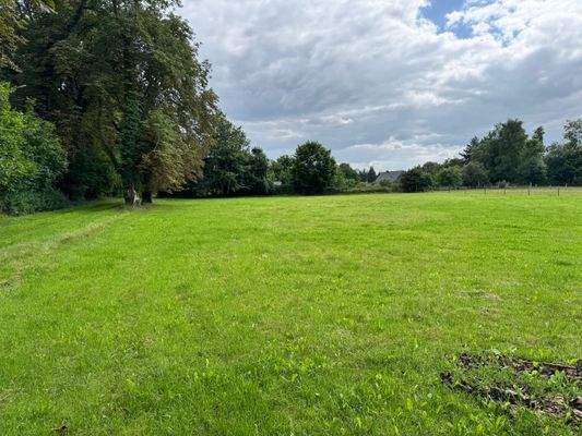 Wiese beider Häuser