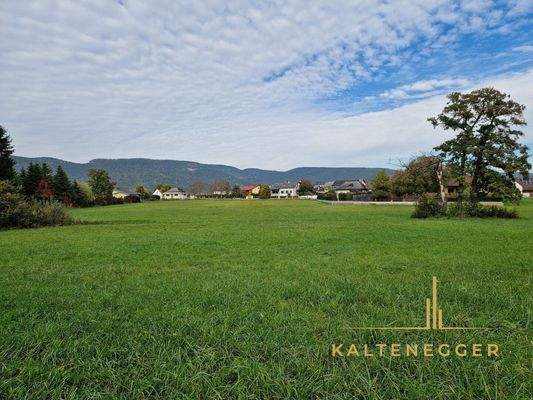 Sicht vom Grünland auf das Bauland