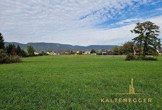 Sicht vom Grünland auf das Bauland