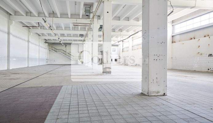 Innenansichten Fläche EG