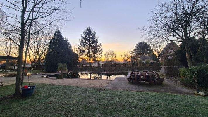 Sonnenaufgang am Schwimmteich