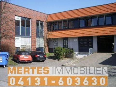 Rellingen Halle, Rellingen Hallenfläche