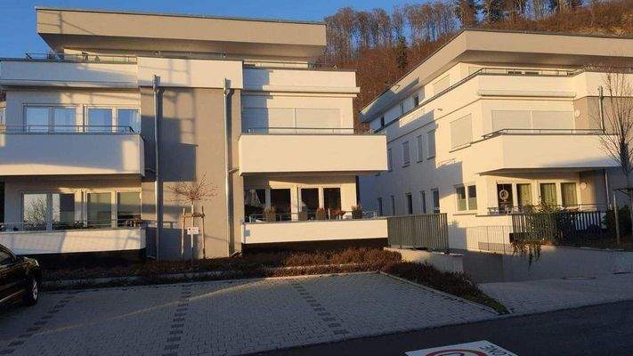 WhatsApp Image 2024-01-28 at 16.41.41.jpeg