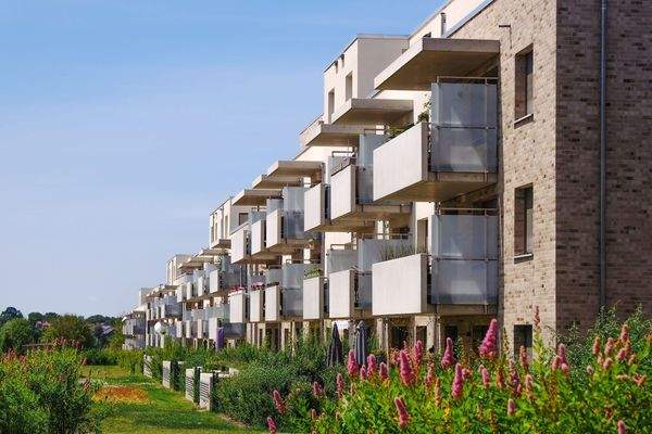 250617_Kleekamp_JS_077