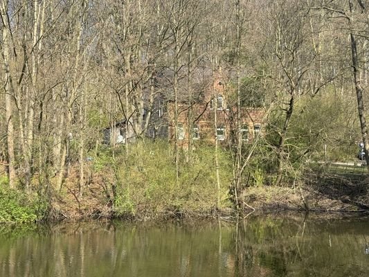 Blick vom Teich