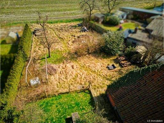 Garten zur Freifläche