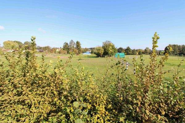 Pferdekoppel hinter dem Haus