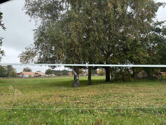 Blick zum Grundstück