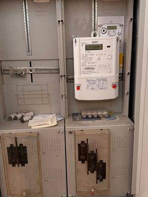 Intelligenter Zweiwegestromzähler 