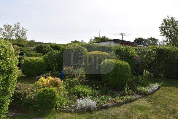 Blick aufs Grundstück