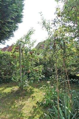 Gartenecke mit Obstbäumen