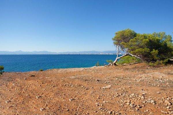 87085_1_1_solar-palma-zona-4