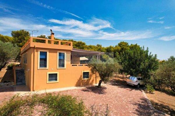 66a422dae76049db8b44af688d1057b0-original