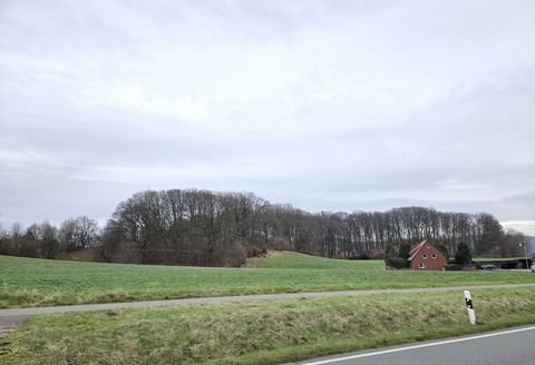 Porta Westfalica Bauernhöfe, Landwirtschaft, Porta Westfalica Forstwirtschaft