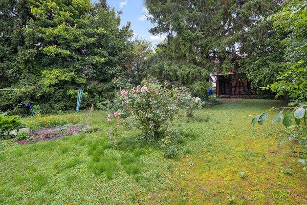 Sonniger Garten oder weiteres Baugrundstück