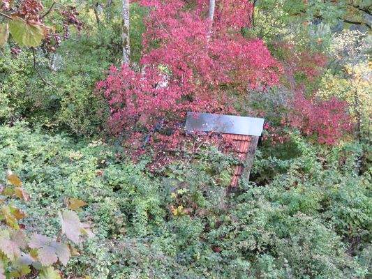 eingewachsenes Backhaus