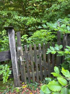 Gartentor zum Wald