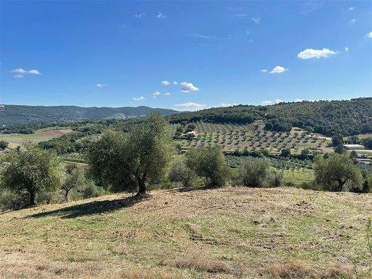 Grundstück Olivenhain mit Blick auf die Stadt