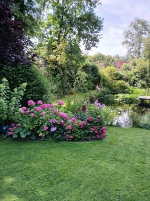 SOMMERFOTOS 2024