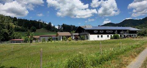 Isny im Allgäu Bauernhöfe, Landwirtschaft, Isny im Allgäu Forstwirtschaft