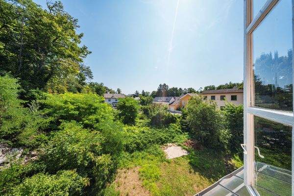Bild 15