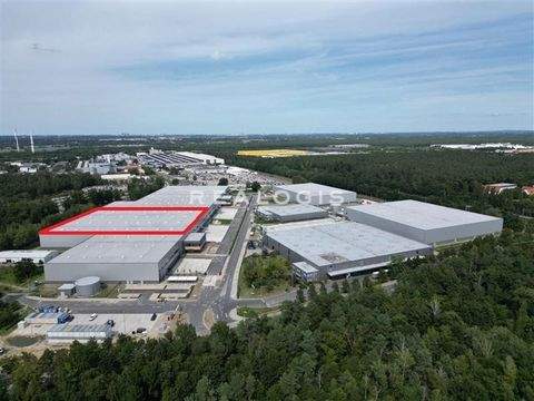 Ludwigsfelde Halle, Ludwigsfelde Hallenfläche