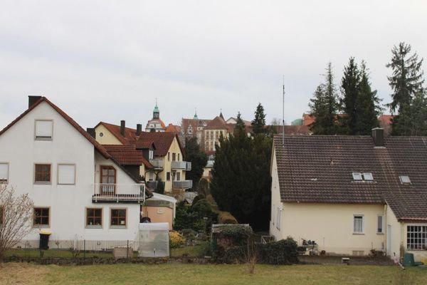 Blick auf das Neuburger Schloss