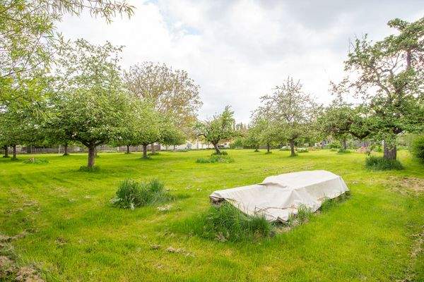 250511_Grundstück Königseggwald-09