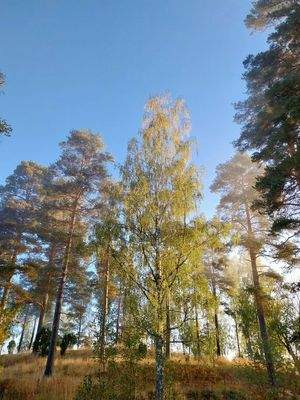 Eigener kleiner Berg