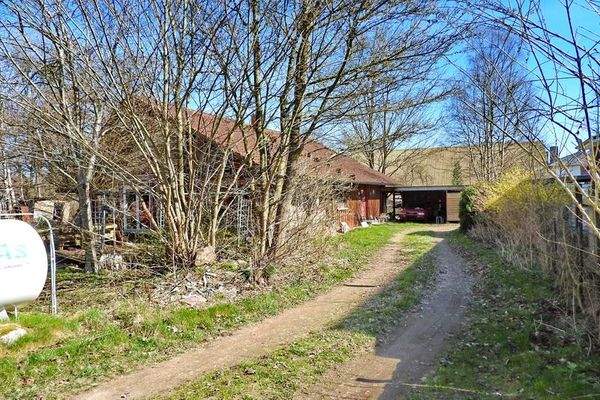 Weg zum Altbestand