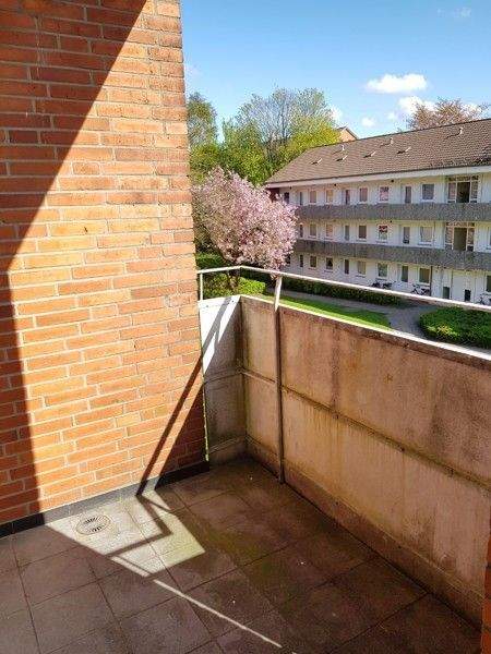 Heide Wohnungen, Heide Wohnung mieten