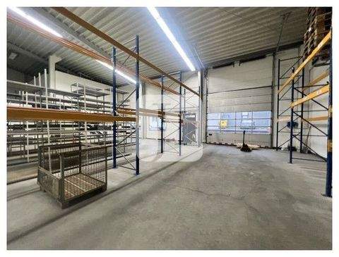 Rostock Halle, Rostock Hallenfläche