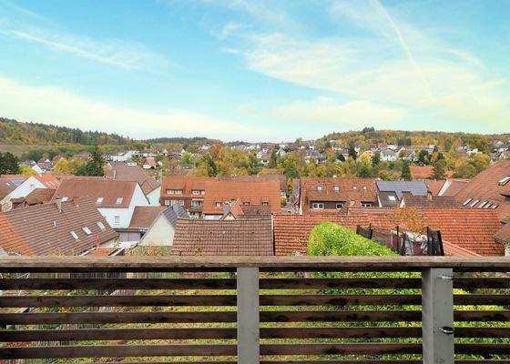 Blick über Nöttingen