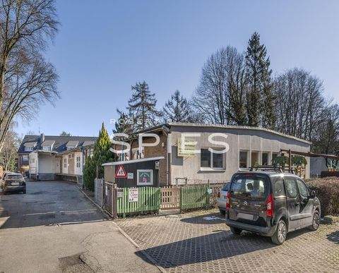 Hamburg Halle, Hamburg Hallenfläche