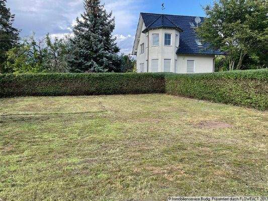 Garten - zukünftiges hinteres Grundstück