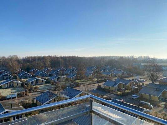 Blick zum Naturschutzgebiet