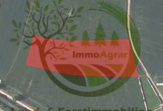 ImmoAgrar_Biburg (A).png