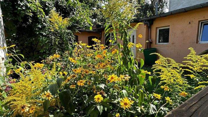 Gartenanlage Innenhof