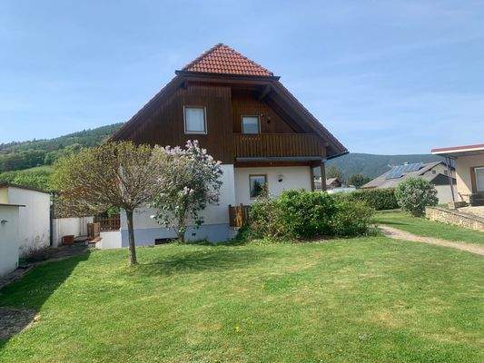 Gfieder im Hintergrund