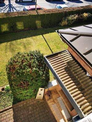 Blick in den Vorgarten 2