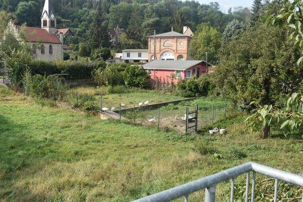 Garten außerhalb des Hauses 