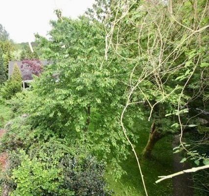 Blick aus Apartment