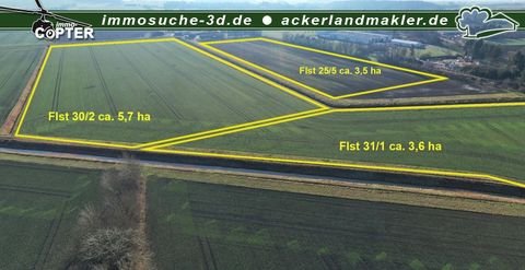 Hornburg Bauernhöfe, Landwirtschaft, Hornburg Forstwirtschaft