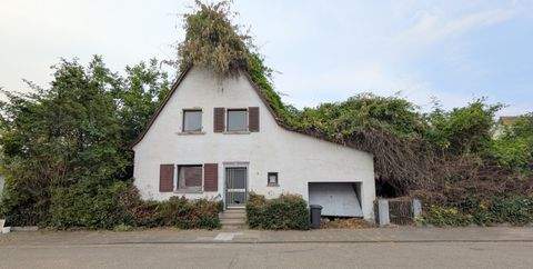 Frankenthal (Pfalz) Häuser, Frankenthal (Pfalz) Haus kaufen