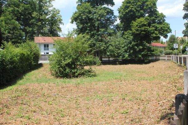 Grundstücksansicht in Richtung Zufahrt