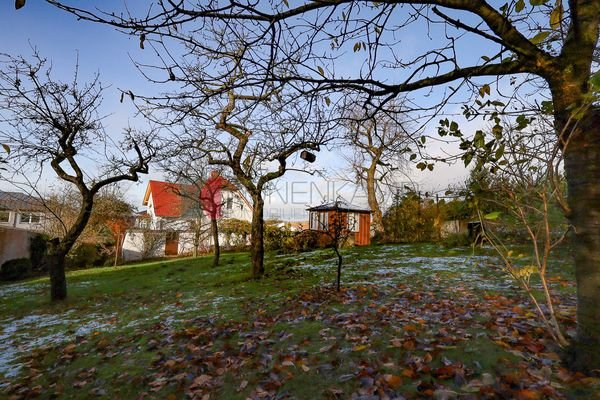 Obstbaumwiese