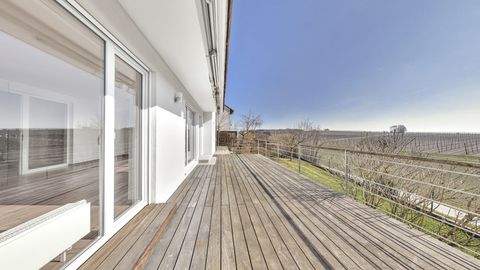 Elsendorf Häuser, Elsendorf Haus kaufen