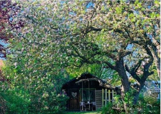 Garten mit Häuschen