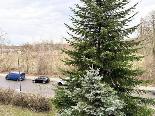 Blick aus dem Fenster